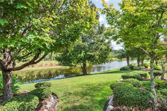 surrounding community with a water view and a lawn