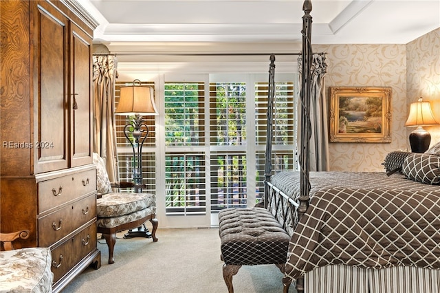 carpeted bedroom with a raised ceiling