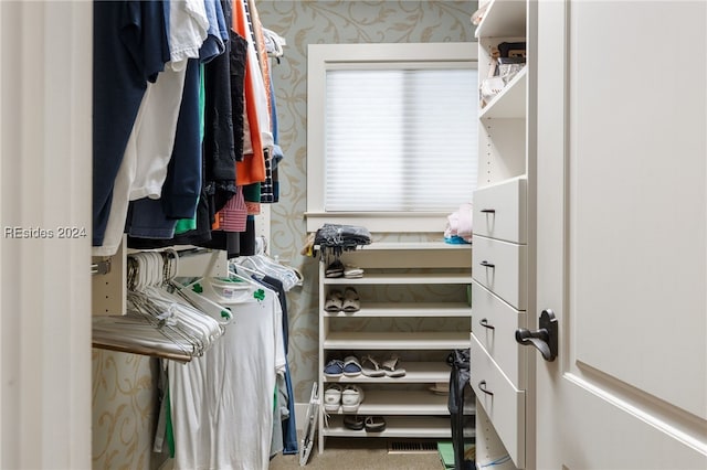 spacious closet featuring carpet