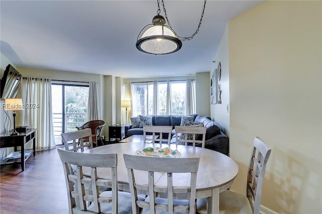 dining area featuring hardwood / wood-style floors and a wealth of natural light