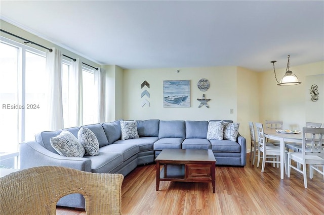 living room featuring hardwood / wood-style flooring