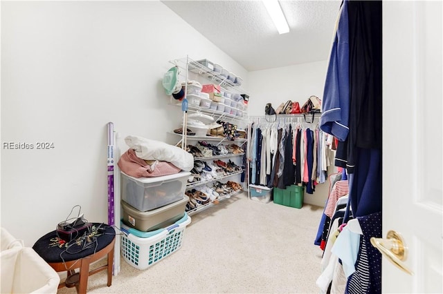 spacious closet featuring carpet