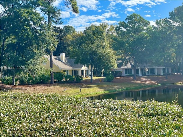 view of yard with a water view