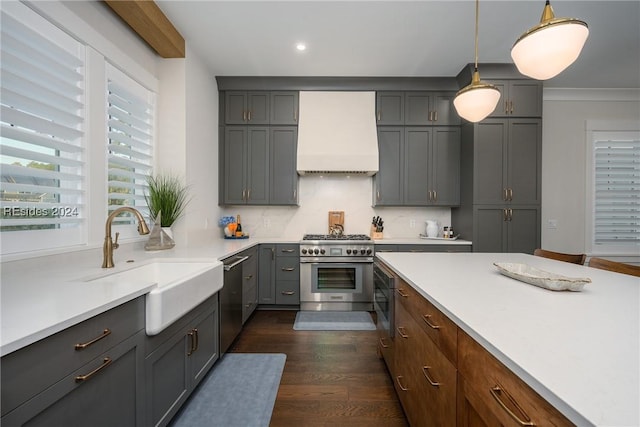 kitchen with sink, appliances with stainless steel finishes, custom range hood, dark hardwood / wood-style flooring, and decorative light fixtures