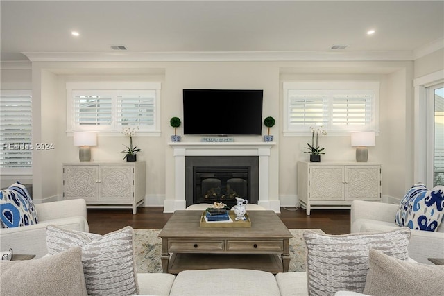 living room featuring crown molding and dark hardwood / wood-style floors