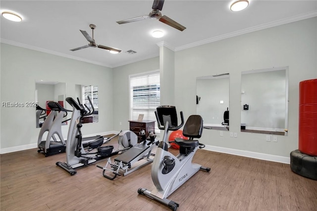 gym with crown molding, ceiling fan, and hardwood / wood-style floors