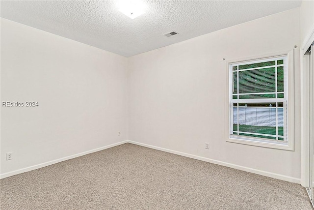 carpeted empty room with plenty of natural light and a textured ceiling