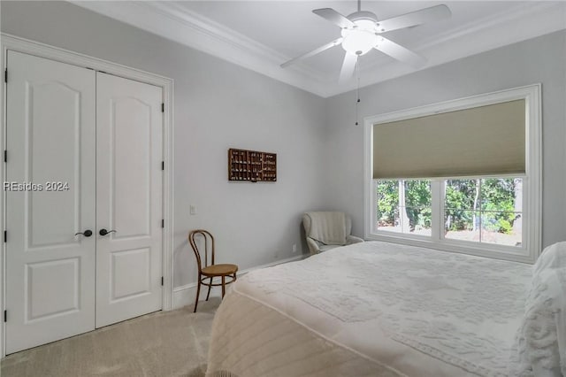 carpeted bedroom featuring ornamental molding, ceiling fan, and a closet