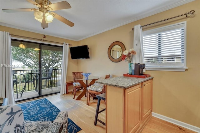 interior space featuring crown molding, light hardwood / wood-style floors, and a healthy amount of sunlight