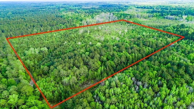 TBD Dunham Williams Rd, Hardeeville, SC 29927