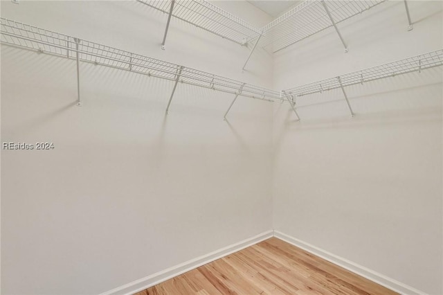 spacious closet with wood-type flooring