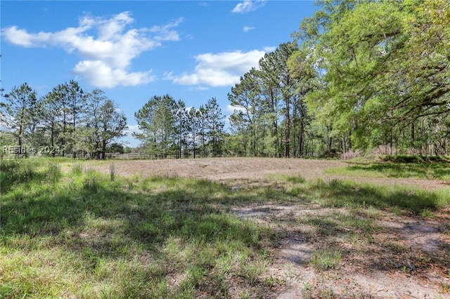 Listing photo 3 for 174 Bridle Path Blvd, Hardeeville SC 29927