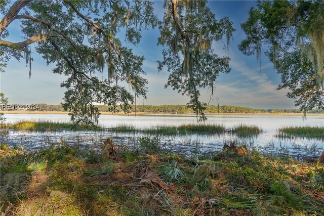 79 Trout Hole Rd, Bluffton SC, 29910 land for sale