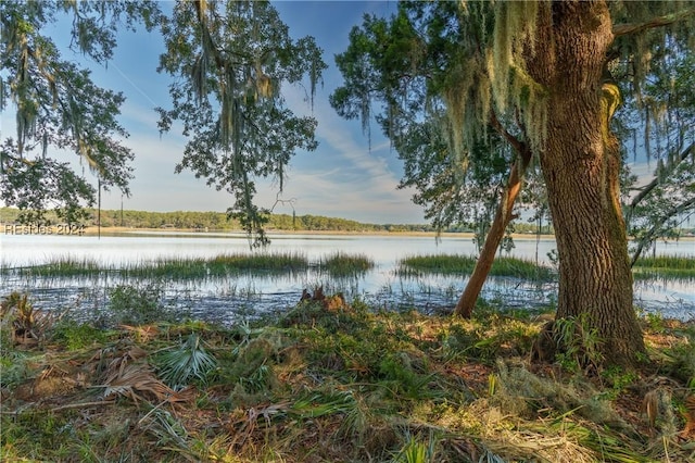 Listing photo 2 for 79 Trout Hole Rd, Bluffton SC 29910