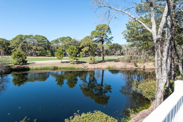 view of water feature