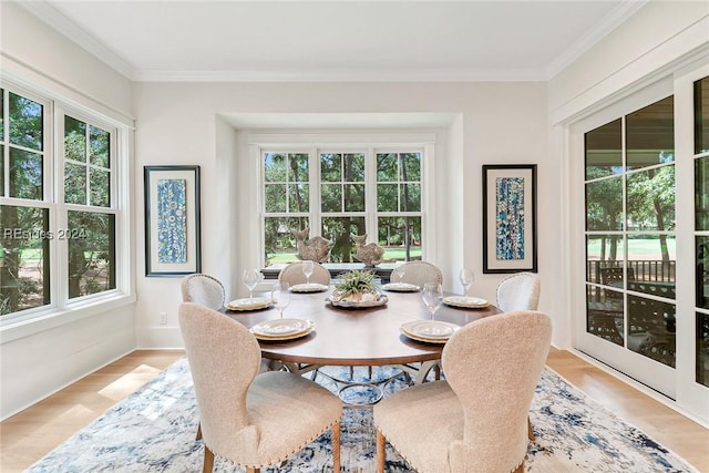 dining room featuring ornamental molding and light hardwood / wood-style flooring