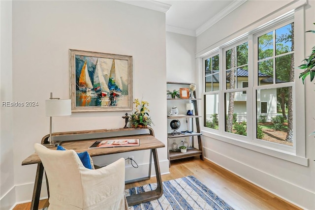 office area featuring ornamental molding and light hardwood / wood-style flooring