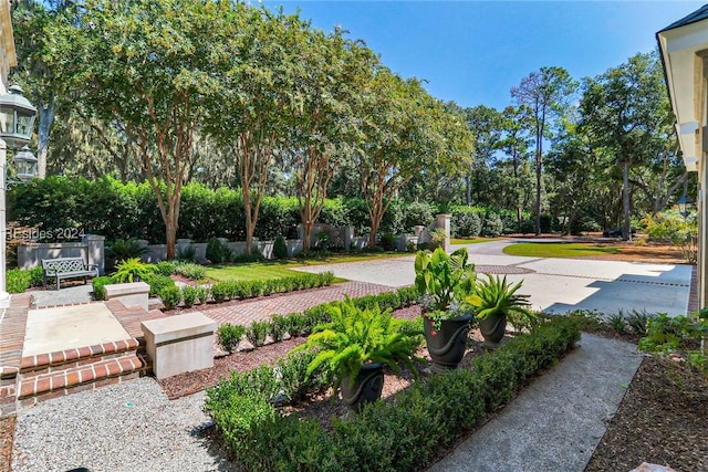 view of community with a patio area