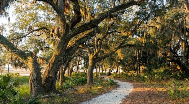 Listing photo 2 for 89 Amaranth Rd, Bluffton SC 29909