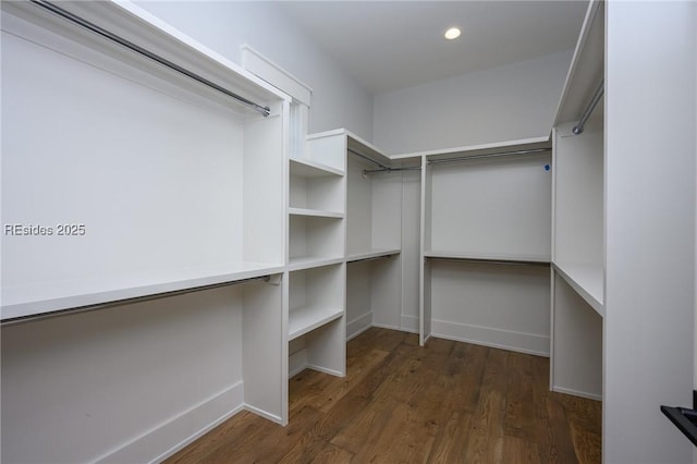 walk in closet featuring dark hardwood / wood-style floors