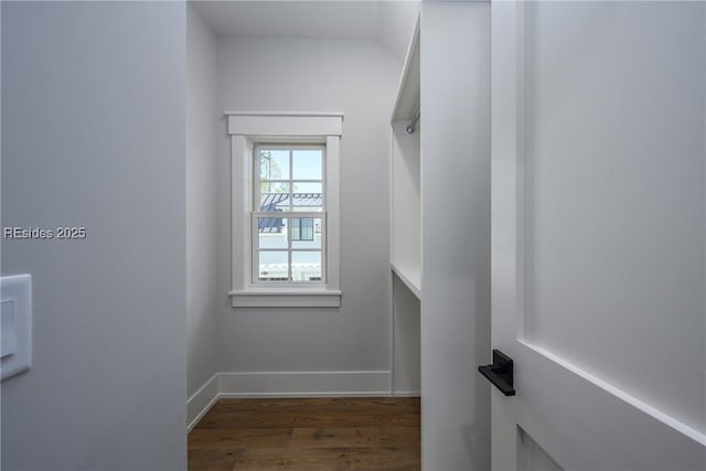 spacious closet with dark wood-type flooring