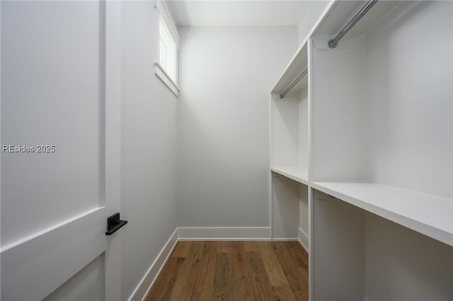 walk in closet with hardwood / wood-style floors