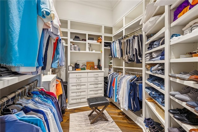 spacious closet featuring dark hardwood / wood-style floors