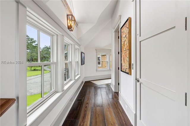 hallway featuring dark hardwood / wood-style flooring