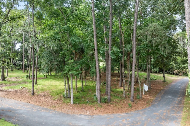 2 Peninsula Pl, Daufuskie Island SC, 29915 land for sale