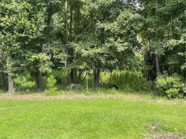 52 Old Miller Rd, Bluffton SC, 29910 land for sale