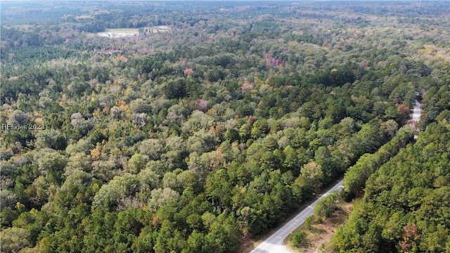 792 Strobhart Rd, Ridgeland SC, 29936 land for sale