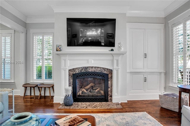 living room with a premium fireplace, ornamental molding, and a wealth of natural light