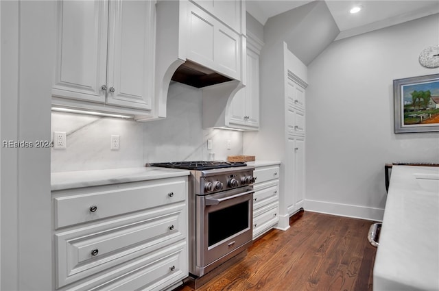 kitchen with vaulted ceiling, dark hardwood / wood-style floors, high end stove, white cabinetry, and sink