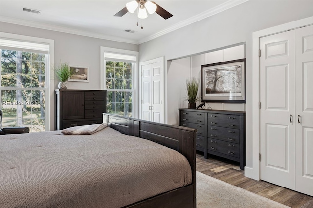 bedroom with multiple windows, two closets, ceiling fan, and hardwood / wood-style flooring