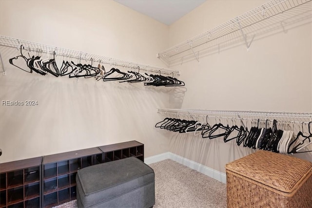 walk in closet featuring carpet