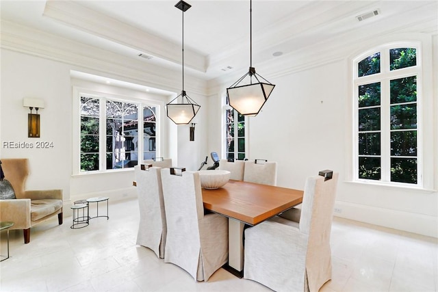 dining room featuring a raised ceiling and crown molding