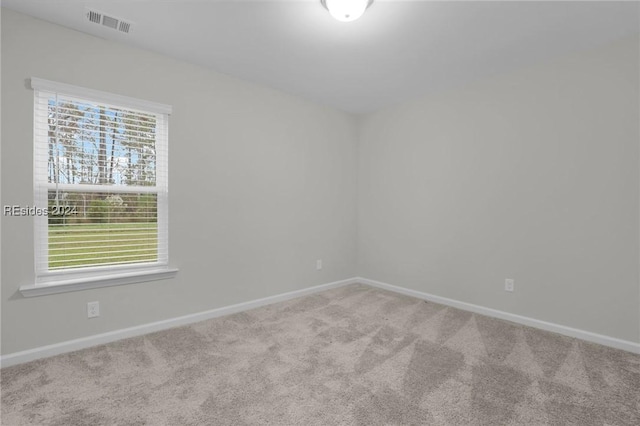 carpeted empty room featuring a wealth of natural light