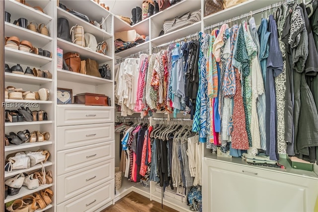 spacious closet featuring hardwood / wood-style flooring