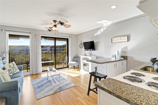 living room with sink, crown molding, light hardwood / wood-style flooring, and ceiling fan