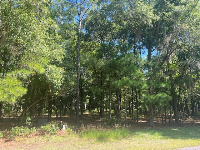 Listing photo 3 for 4 Martinangel Ln, Daufuskie Island SC 29915