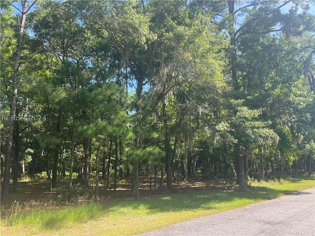 Listing photo 2 for 4 Martinangel Ln, Daufuskie Island SC 29915