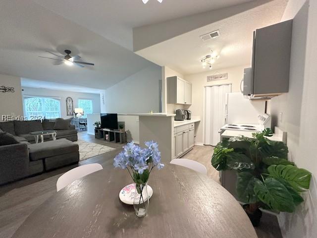 dining area featuring vaulted ceiling and ceiling fan