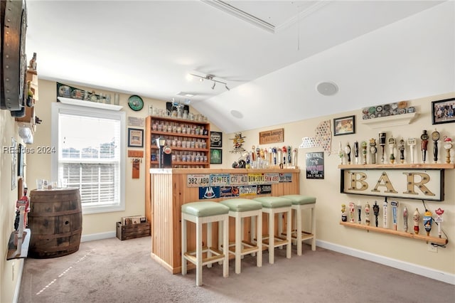 bar with vaulted ceiling and carpet