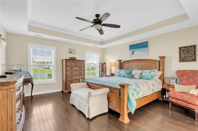 bedroom featuring multiple windows, a raised ceiling, and ceiling fan