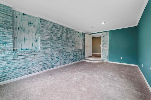 spare room featuring crown molding and carpet flooring