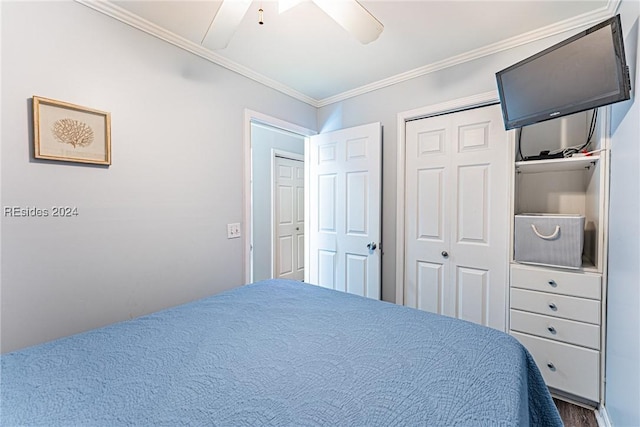 bedroom with crown molding, ceiling fan, and a closet