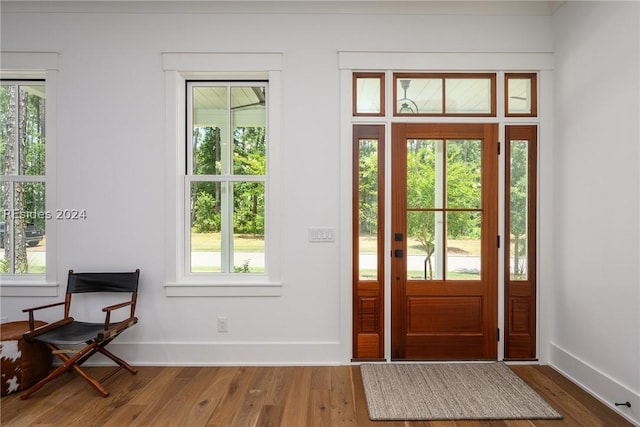 doorway to outside featuring wood-type flooring