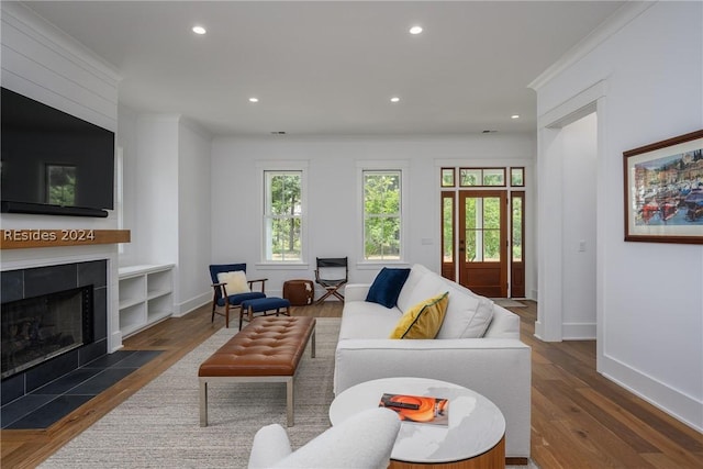 living room featuring dark hardwood / wood-style flooring, ornamental molding, and a fireplace