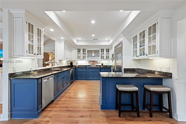 kitchen with appliances with stainless steel finishes, white cabinetry, sink, a tray ceiling, and blue cabinetry