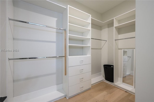 spacious closet with light wood-type flooring